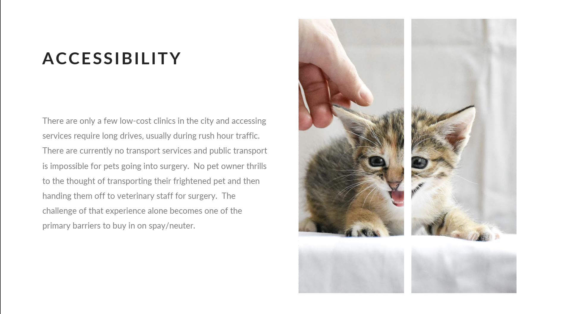 spay_la_accessibility